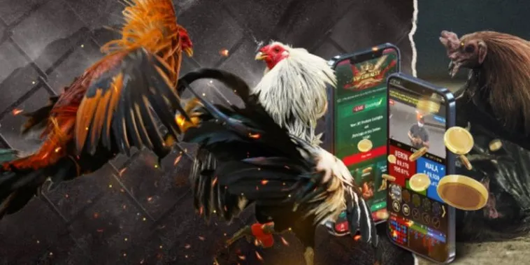 Hướng Dẫn Tận Tình Cách Chơi Đá Gà GA28 Tại Rubik88 Dành Cho Tân Thủ 2 Hướng Dẫn Tận Tình Cách Chơi Đá Gà GA28 Tại Rubik88 Dành Cho Tân Thủ