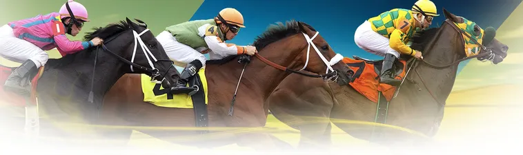 Hướng Dẫn Tìm Hiểu Cá Cược Đua Ngựa Rubik88 Đỉnh Cao Cho Dân Chơi Mới 1 Hướng Dẫn Tìm Hiểu Cá Cược Đua Ngựa Rubik88 Đỉnh Cao Cho Dân Chơi Mới